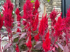 -聚宝渔港.五钻酒家(上地店)