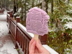 -汤旺河林海奇石景区
