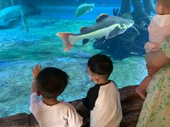 -华夏文旅海洋公园