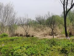 -西安浐灞国家湿地公园
