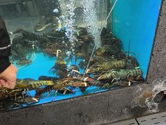 -鲜味食族水产·海鲜餐厅