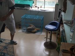 -狗舍宠物医院(四季商业广场店)