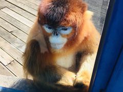 -大连森林动物园