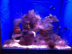 -多彩贵州城极地海洋世界