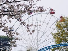 -红山森林动物园