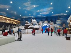 -世界之窗阿尔卑斯冰雪世界