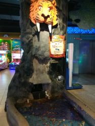 点击看大图 捞金鱼-卡通尼·Safari非洲探索乐园·生日会(金桥国际商业广场店)