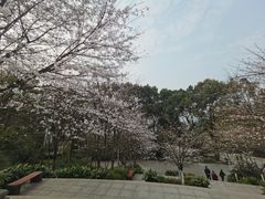 -南山植物园