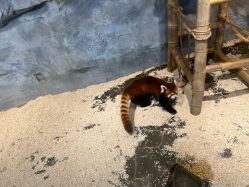 -Zoolung Zoolung动物主题公园(海信广场店)