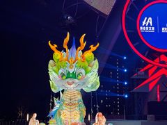 -海合安武汉极地海洋公园