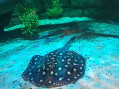 -沈阳海洋探索中心