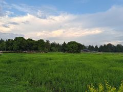 -蜀绣公园