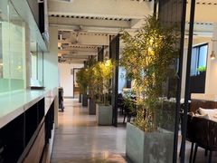 -拈菜(观音桥阳光世纪店)