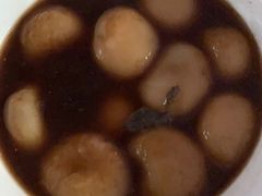 -天鹅到家·保姆月嫂育儿嫂(天河店)