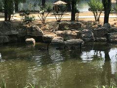 -石家庄市动物园