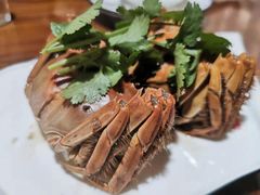 -呼吸森林·生态农庄农家乐私房菜