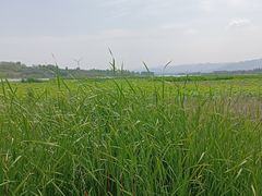 -怀来官厅水库