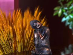 -泰融玺·泰式按摩SPA(包河万达店)