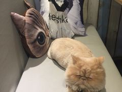 -小时光咖啡馆(开森度假森林店)