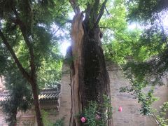 -西安关中民俗艺术博物院