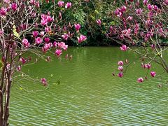 -海珠湖公园