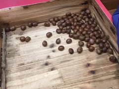 -阿男野栗王(金门路店)