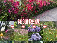 -云溪植物园