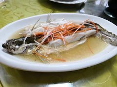 清蒸白鱼-巢湖名吃·东关老鹅汤(江南风情街店)