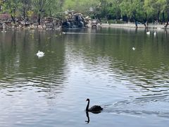 -石家庄市动物园