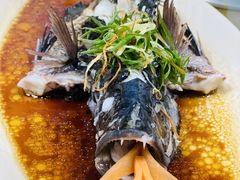清蒸红友鱼-聚鲜阁海鲜美食城(香水湾店)