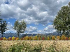 -野鸭湖国家湿地公园