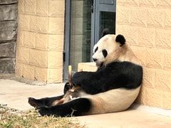 -石家庄市动物园