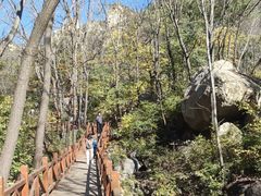 -大岭沟猕猴桃谷风景区