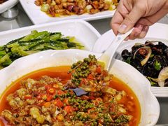 -陈麻婆豆腐(旗舰店)