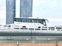 -演武大桥观景平台