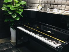 -Melody Mentor音乐私教馆(朝外·悠唐店)