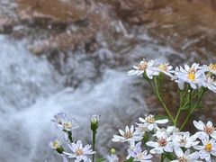 -东天目山风景区