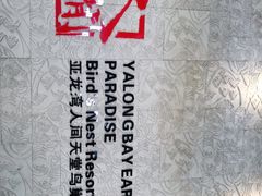 -三亚亚龙湾人间天堂鸟巢度假村