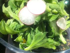 爽口冰草-徐记私厨(半淞园路店)