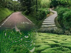 -大屏嶂森林公园