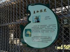 -哈尔滨北方森林动物园