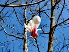 -鹫峰国家森林公园