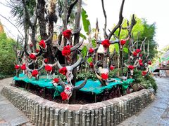 -云南民族村