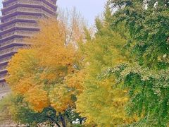 -玲珑塔公园