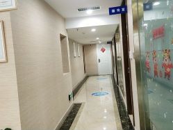 -碧莲盛·不剃发植发