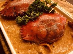 -茉莉.Red Crab