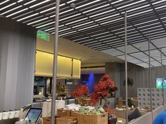 -苏小柳点心·手作小笼包(浦东嘉里城分院)