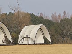 -梁鸿国家湿地公园