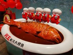 -阿五黄河大鲤鱼(英协路店)