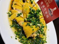 葱油竹林鸡-魏铭鱼头捞饭(嘉善店)